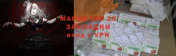 хмурый Козловка