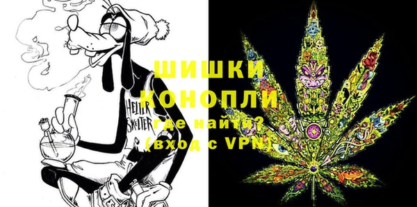 хмурый Козловка