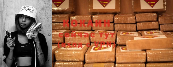 хмурый Козловка